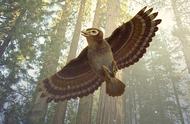 琥珀中的神秘翅膀：9900万年前的羽毛长达37毫米！